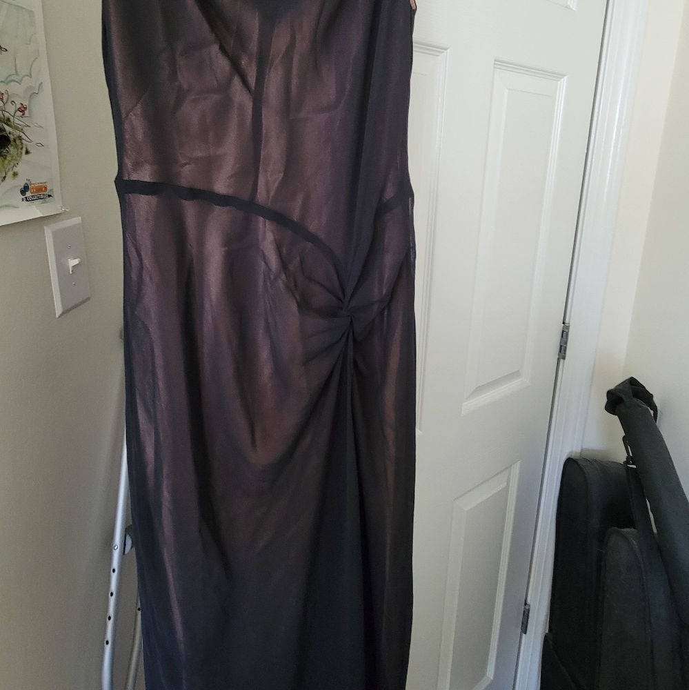 Simple long Gold/Black sheer dress